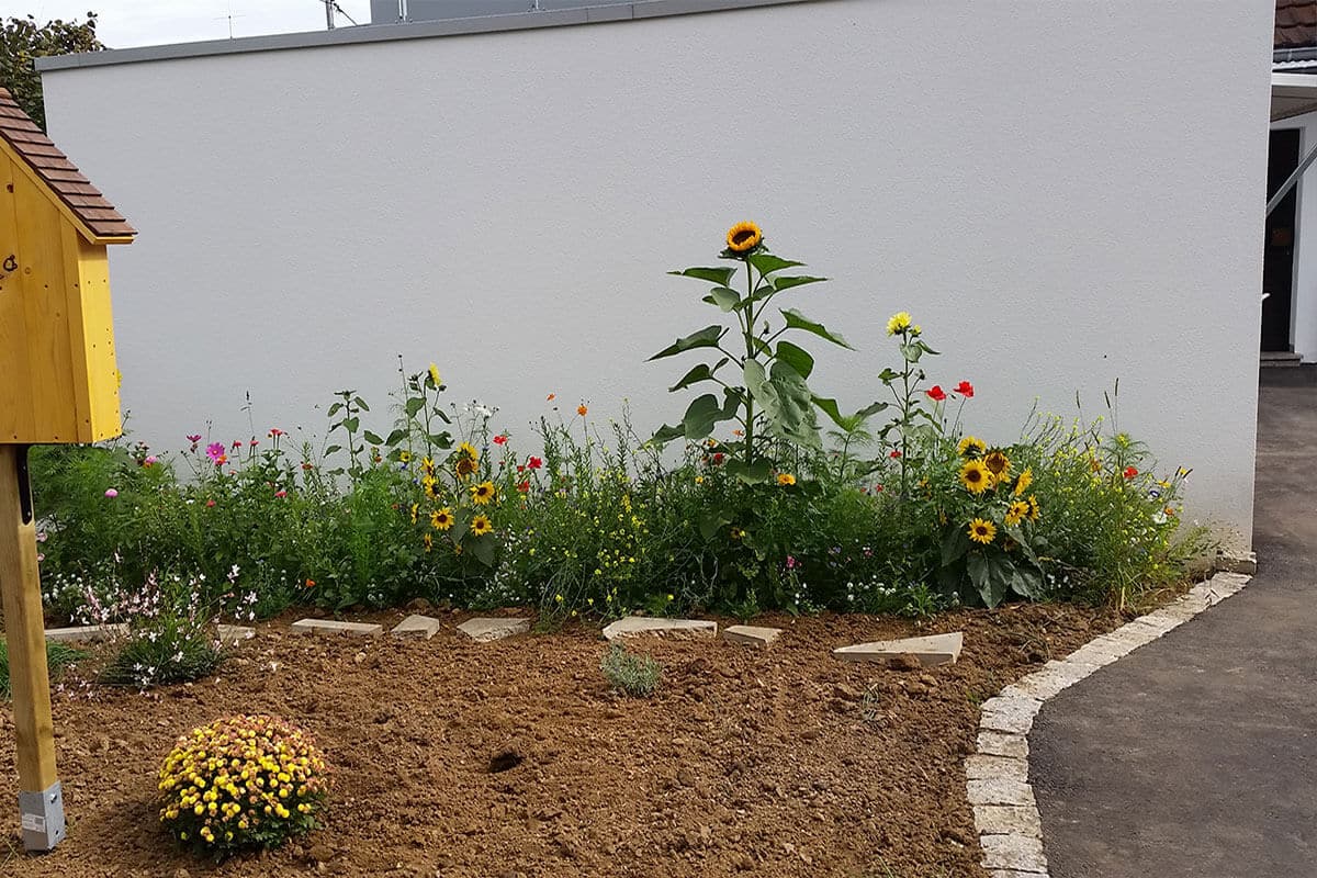 Graffiti Stuttgart wurde für die Gestaltung einer Garagenmauer beauftragt. Passend zum Blumengarten mit dazugehörigem Bienenhotel besprühte Chris die weiße Garagenwand mit einer farbenfrohen Blumenwiese inklusive Biene und Schmetterling.