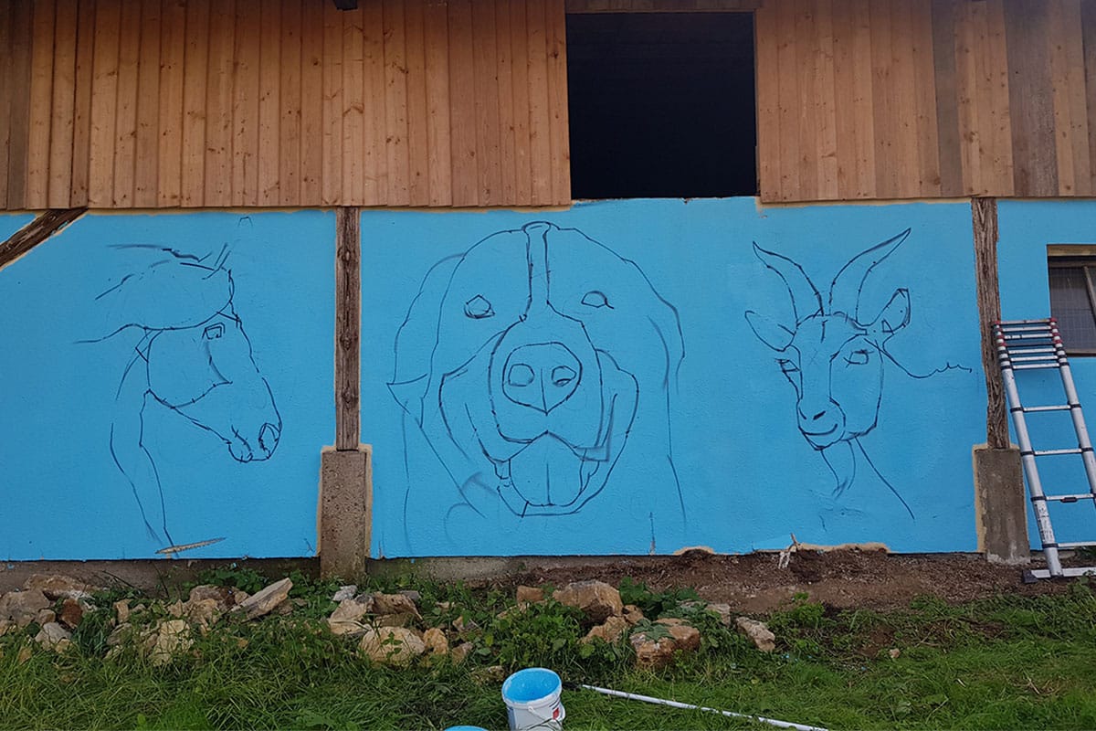 Für den Gnadenhof Animal hope aus Rosenberg im Landkreis Neckar-Odenwald-Kreis haben wir eine Scheune mit einem farbenfrohen Graffiti verschönert.
