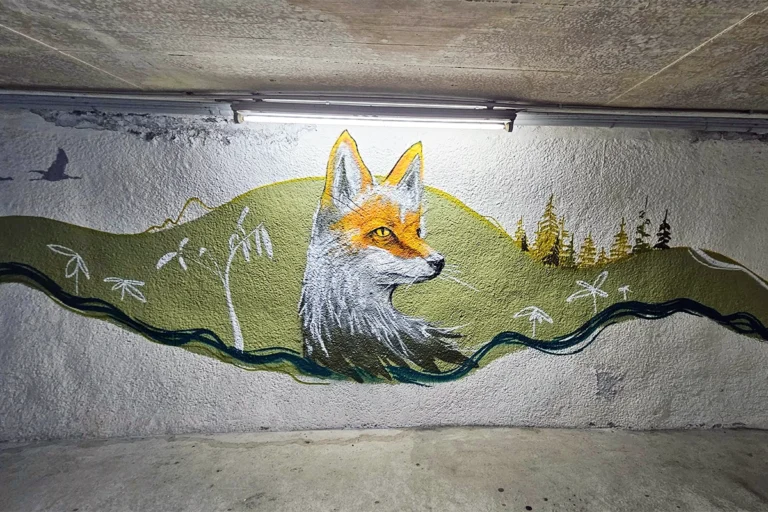 Graffiti-Kunst bringt Farbe in die Wertheimer Tiefgarage. Mit Tiermotiven und grafischen Elementen wird der Weg zur Altstadt zum Erlebnis.