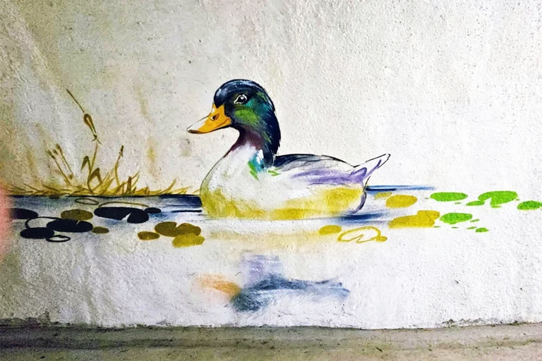 Graffiti-Kunst bringt Farbe in die Wertheimer Tiefgarage. Mit Tiermotiven und grafischen Elementen wird der Weg zur Altstadt zum Erlebnis.